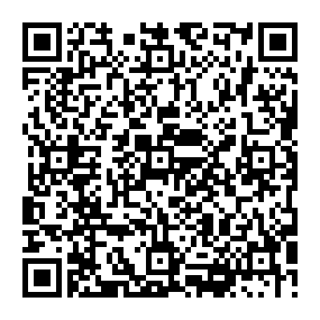 vCard 79236338369