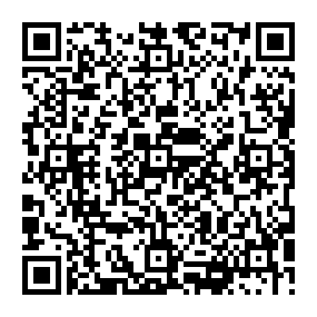 vCard 79236338373