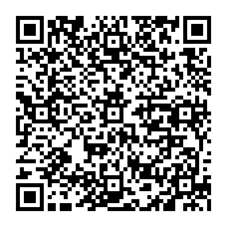 vCard 79236338374
