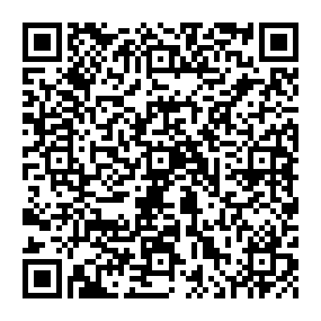 vCard 79236338378