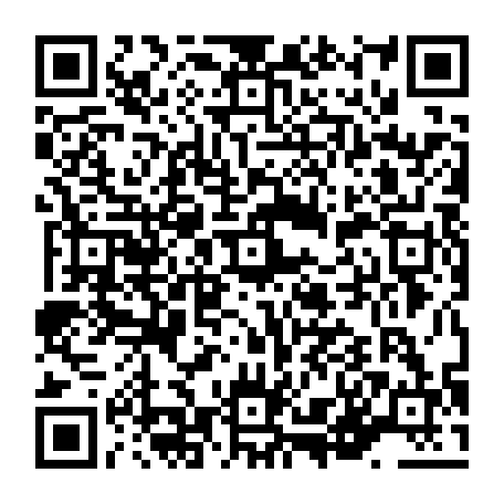 vCard 79236338395