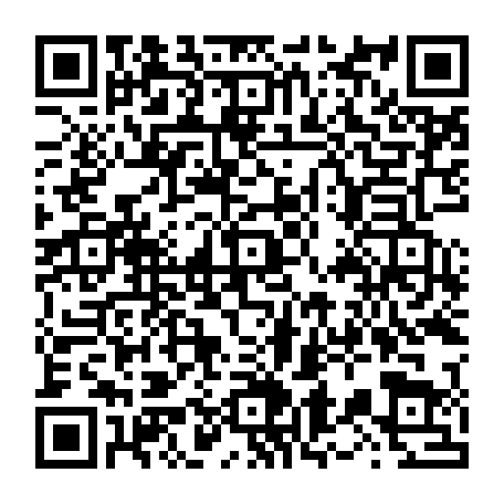 vCard 79236338403