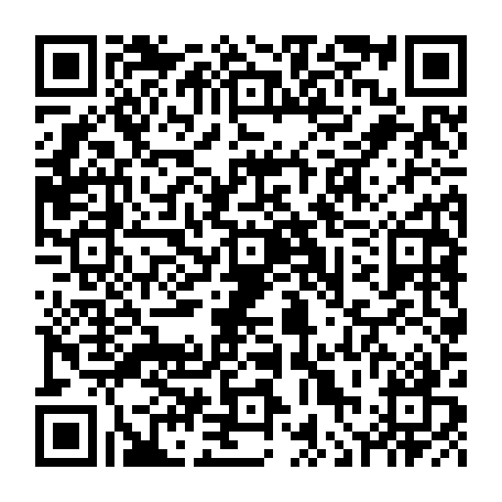 vCard 79236338415
