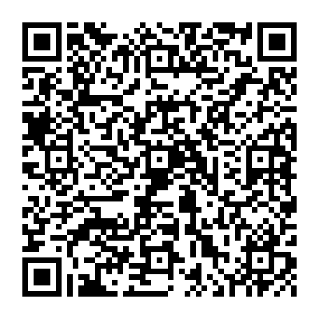 vCard 79236338463