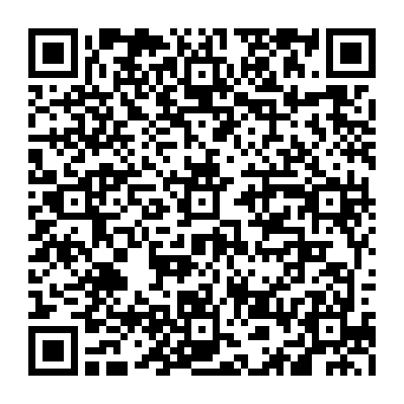 vCard 79236338479