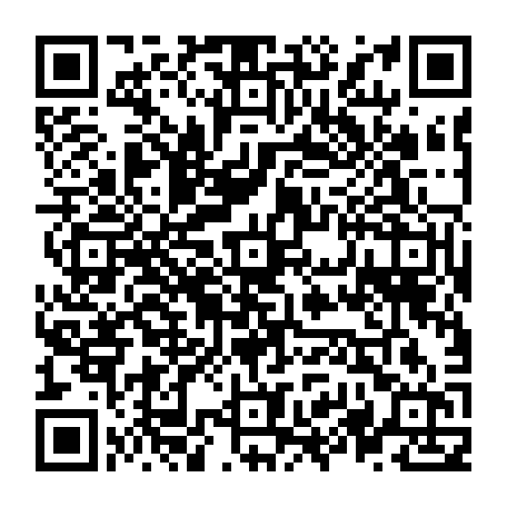 vCard 79236338497