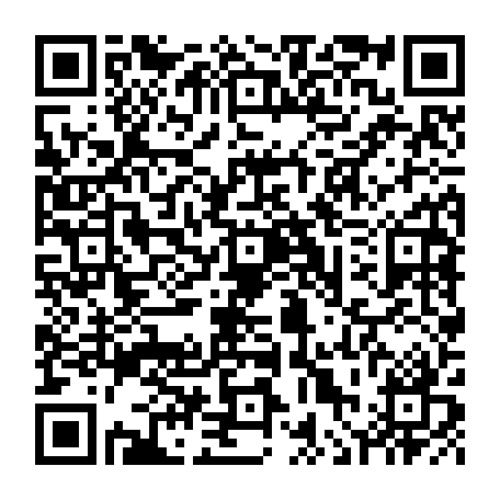 vCard 79236338507