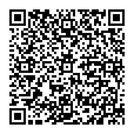 vCard 79236338583
