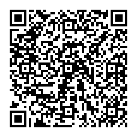 vCard 79236338711