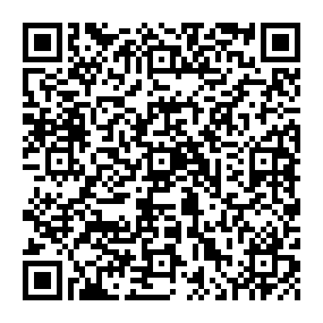 vCard 79236338754