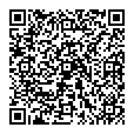 vCard 79236338823