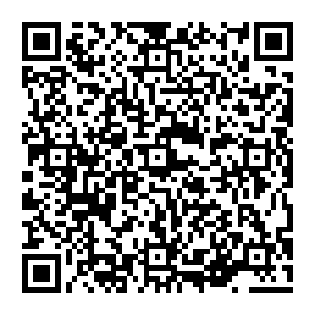 vCard 79236338871