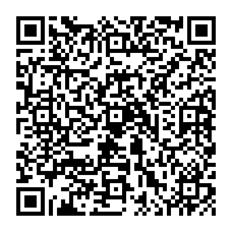 vCard 79236338993