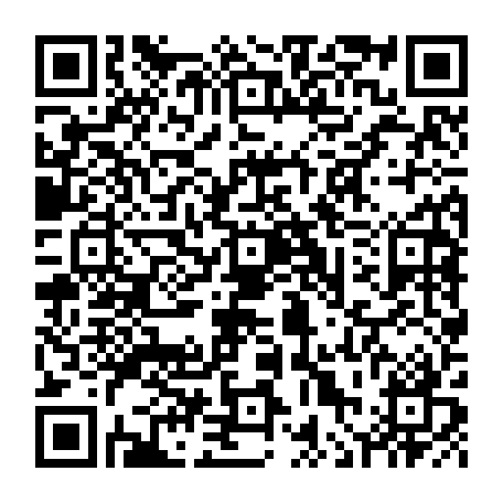 vCard 79236339087