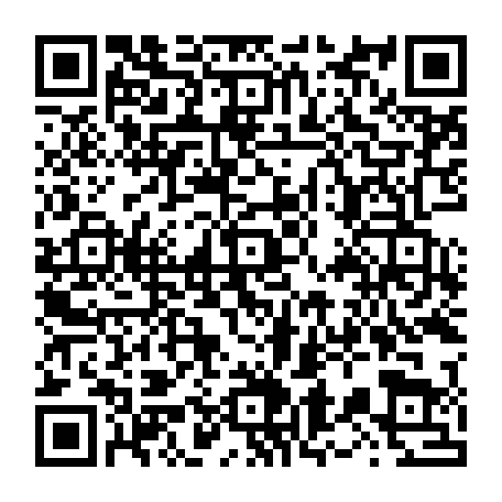 vCard 79236339171