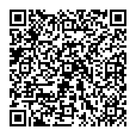 vCard 79236339173