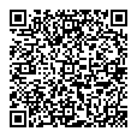 vCard 79236339253