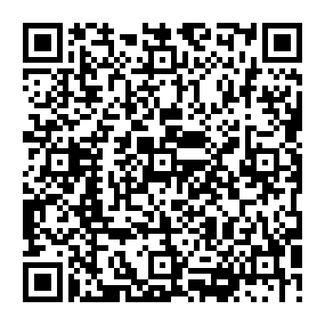 vCard 79236339317