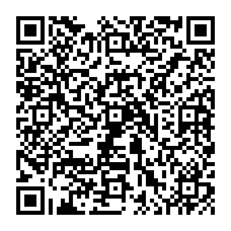 vCard 79236339331
