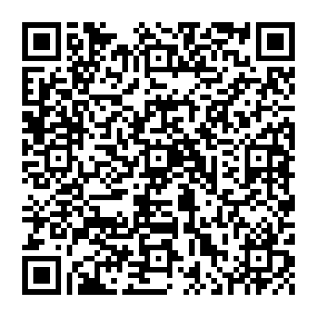 vCard 79236339338