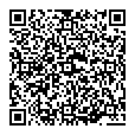 vCard 79236339413