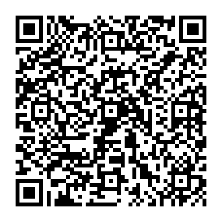 vCard 79236339647