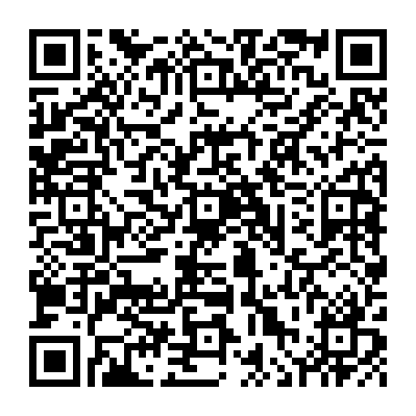 vCard 79236339735