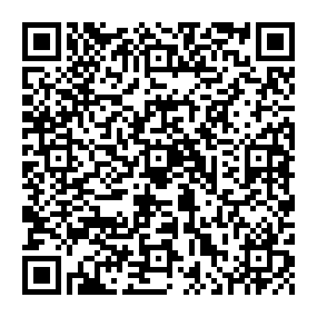 vCard 79236339821