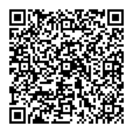 vCard 79236341157
