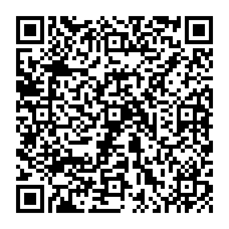 vCard 79236341411