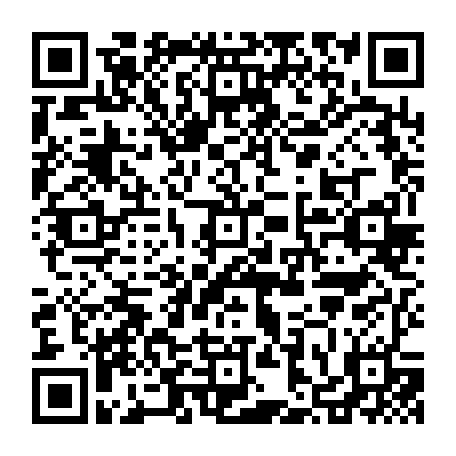 vCard 79236350379