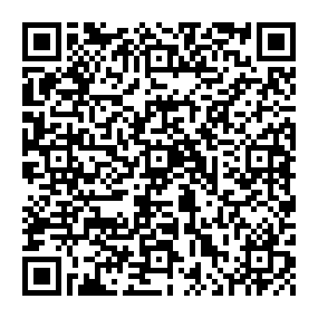 vCard 79236352838