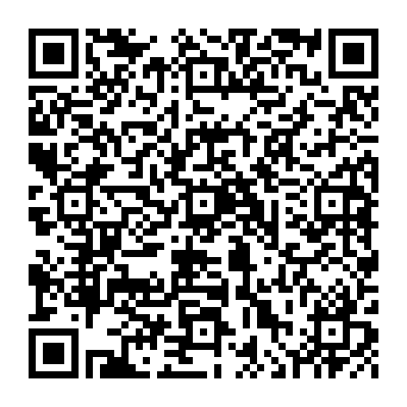 vCard 79236353384