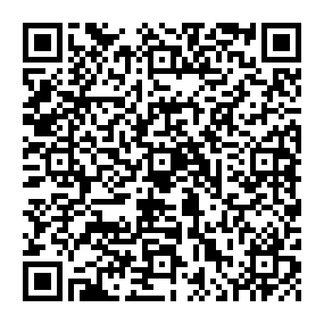vCard 79236353385