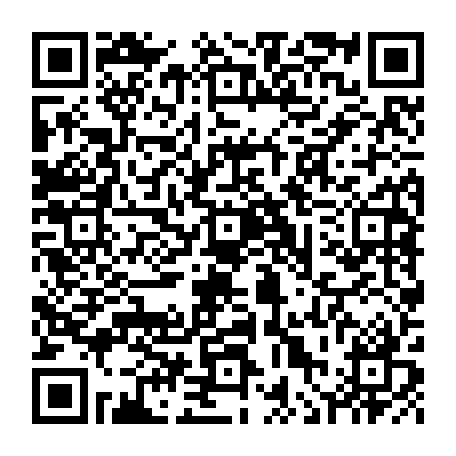 vCard 79236353873