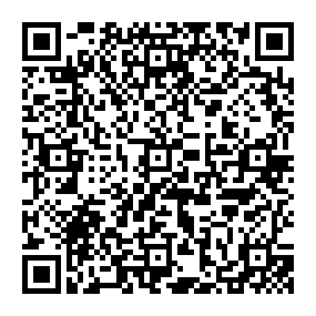 vCard 79236363313