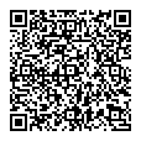vCard 79236363335