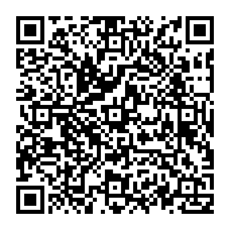 vCard 79236363387