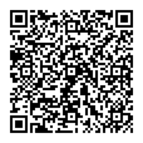 vCard 79236363513