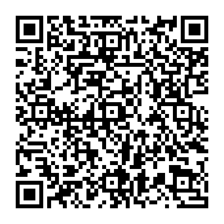 vCard 79236363587