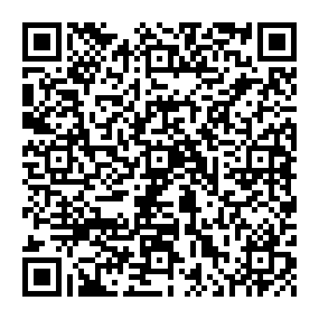 vCard 79236363714