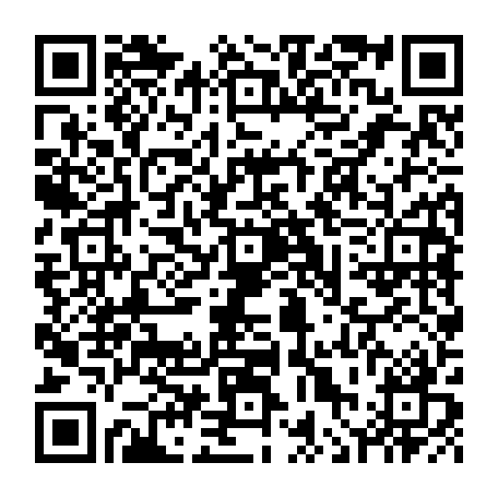 vCard 79236363731