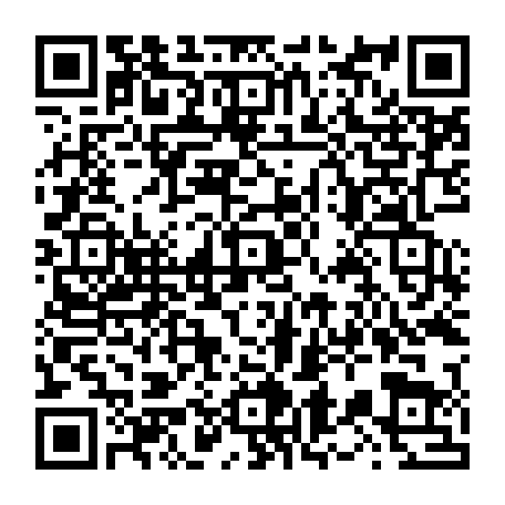 vCard 79236363817