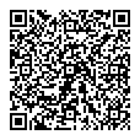 vCard 79236363878