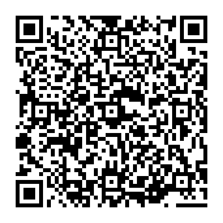 vCard 79236363968
