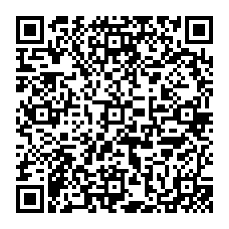 vCard 79236365003