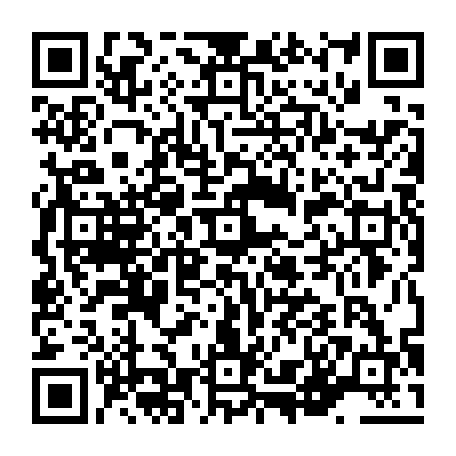 vCard 79236378803