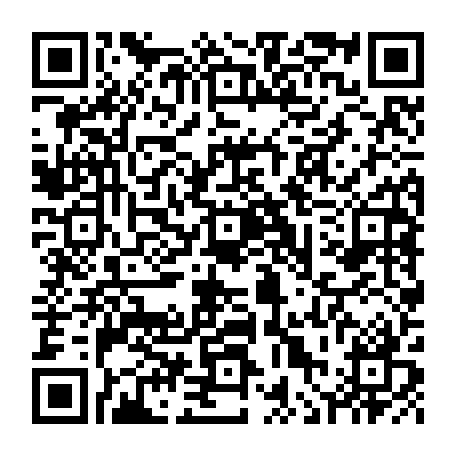vCard 79236379217