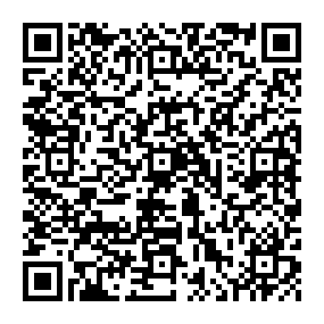 vCard 79236379383