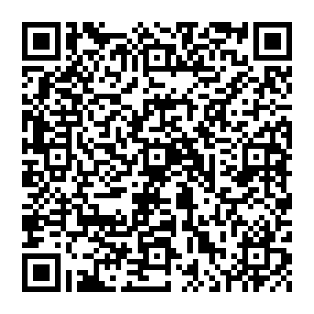 vCard 79236379467